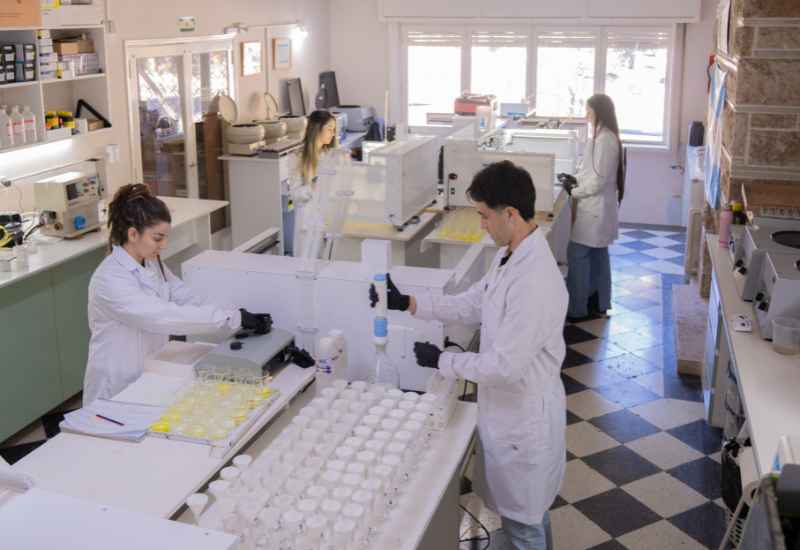 Disponibilidad de nutrientes en el suelo: qué es y cómo mejorar el rendimiento de tus cultivos