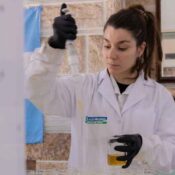 Fósforo El nutriente estratégico para una agricultura de alta productividad
