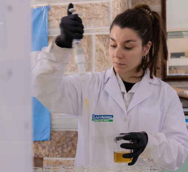 Fósforo: El nutriente estratégico para una agricultura de alta productividad