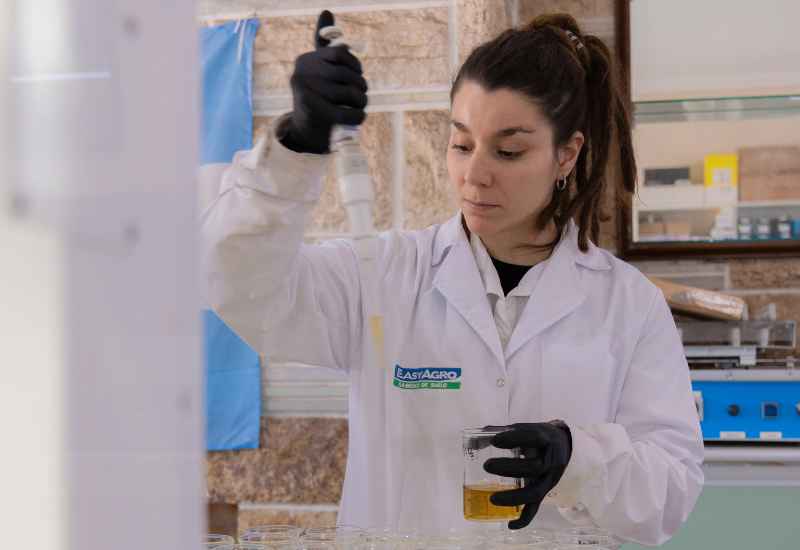 Fósforo: El nutriente estratégico para una agricultura de alta productividad