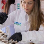 ¿Por qué la materia orgánica es la inversión más rentable para tu lote?