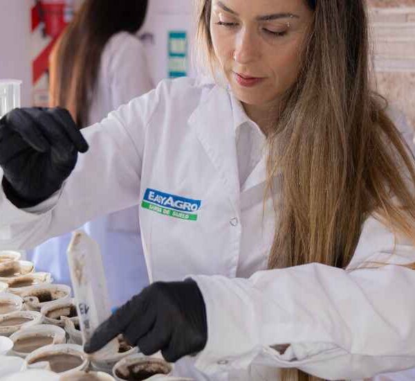 ¿Por qué la materia orgánica es la inversión más rentable para tu lote?