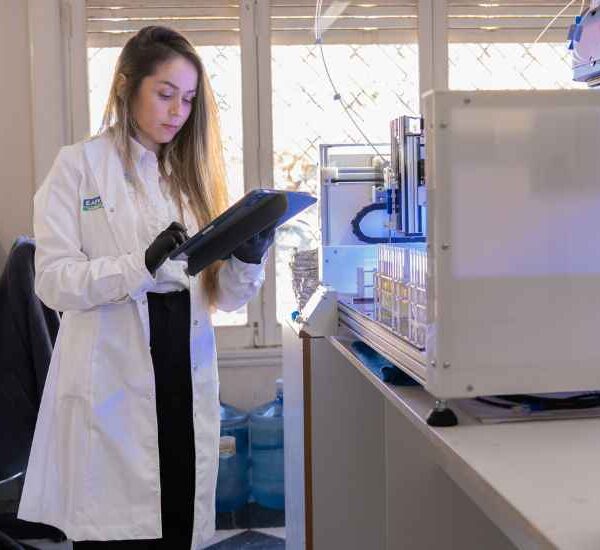 Nitrógeno en los cultivos: cómo mejorar la productividad con una nutrición eficiente
