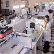 Análisis de suelos: el primer paso para una agricultura de precisión