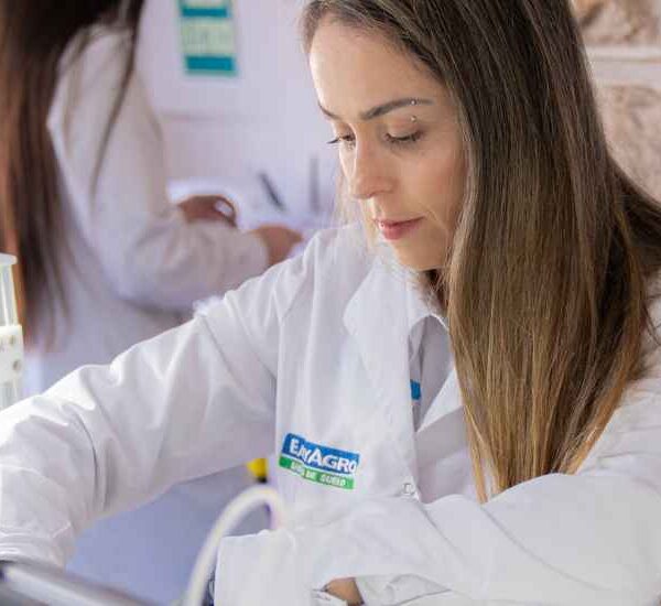 Capacidad de Intercambio Catiónico (CIC): cómo influye en la fertilidad del suelo