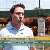 Agricultura de precisión en ganadería: el suelo como punto de partida para producir pasto de calidad