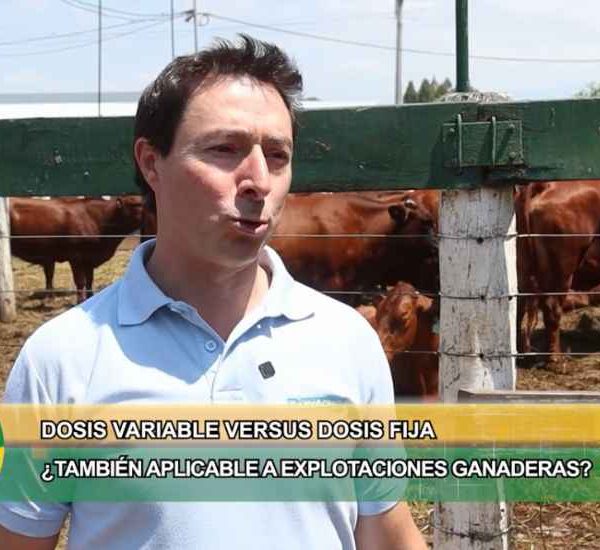 Agricultura de precisión en ganadería: el suelo como punto de partida para producir pasto de calidad