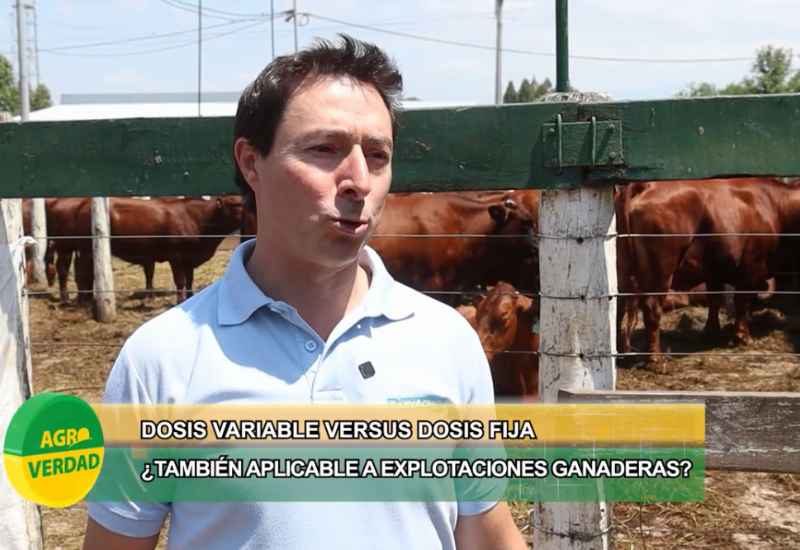 Agricultura de precisión en ganadería: el suelo como punto de partida para producir pasto de calidad