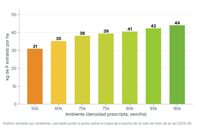 Fósforo extraído por ambiente, calculado punto a punto sobre el mapa de cosecha de un lote de maíz de la red 2025-26.