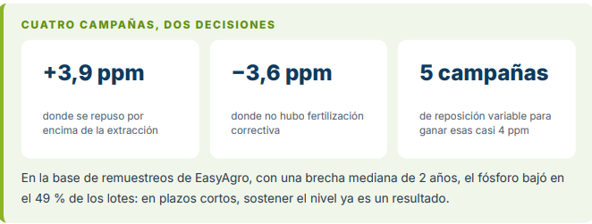 CUATRO CAMPAÑAS, DOS DECISIONES