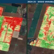 Del diagnóstico al margen: qué cambia cuando se maneja por ambiente