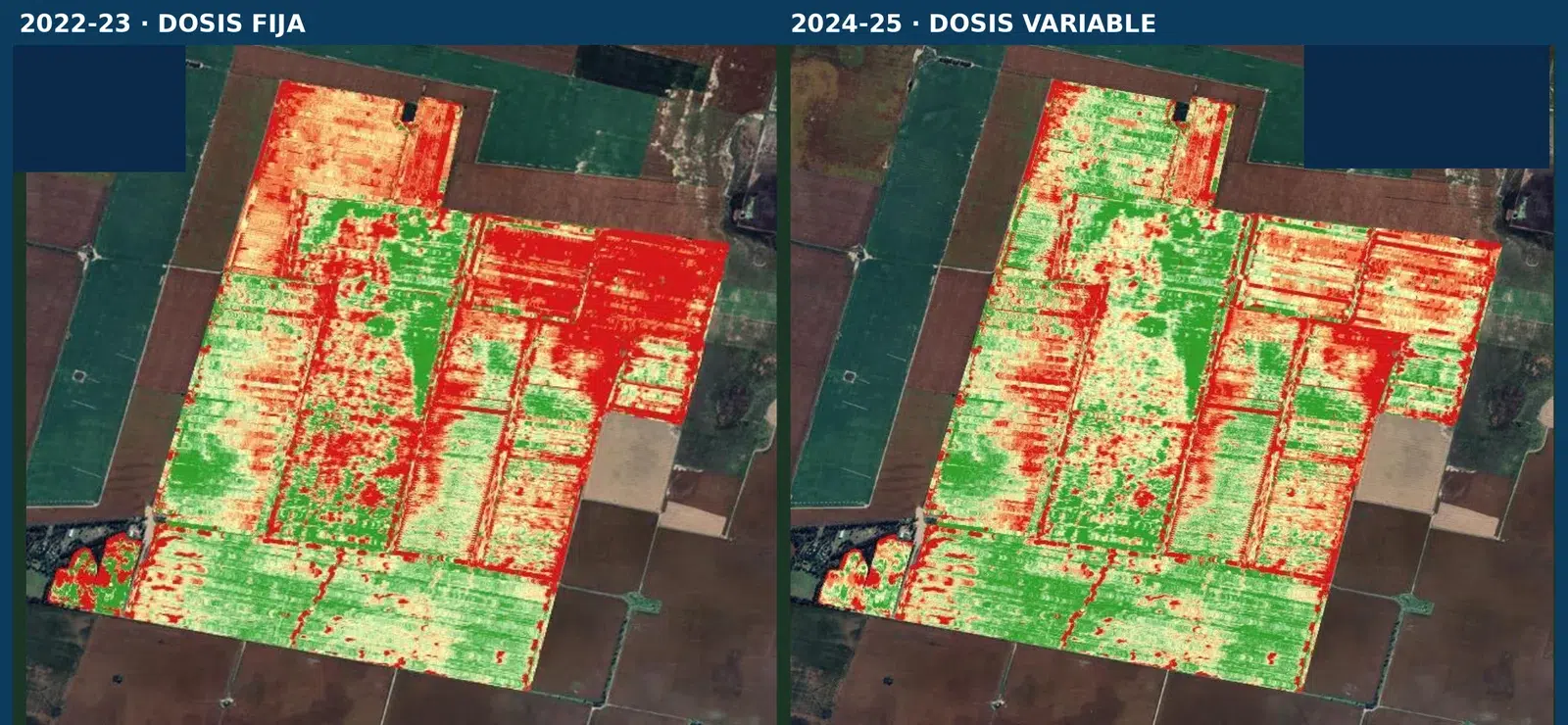 Del diagnóstico al margen: qué cambia cuando se maneja por ambiente