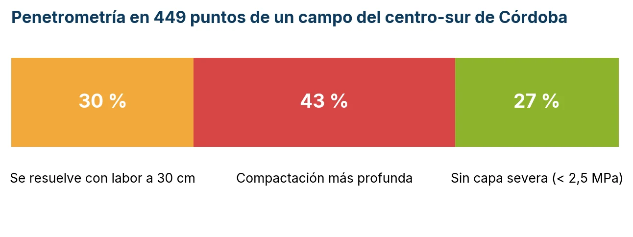 Penetrometría en 449 puntos: 30 % se resuelve con labor a 30 cm, 43 % tiene compactación más profunda y 27 % no tiene capa severa (menos de 2,5 MPa).