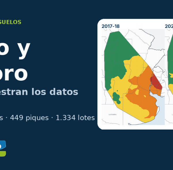 Suelo y fósforo: por qué el promedio del lote te está mintiendo